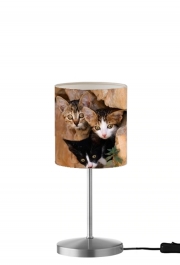 Lampe de table Trois petits chatons mignons dans un orifice d'un mur