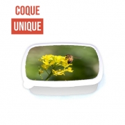 Boite a Gouter Repas A bee in the yellow mustard flowers