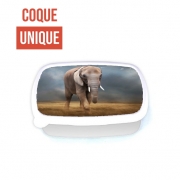 Boite a Gouter Repas Elephant tour