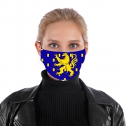 Masque alternatif Drapeau de la Franche Comté