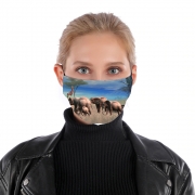 Masque alternatif Safari