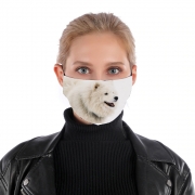 Masque alternatif samoyede dog