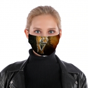 Masque alternatif Siberian tiger