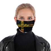Masque alternatif Sweden Brickwall