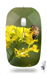 Souris sans fil avec récepteur usb A bee in the yellow mustard flowers