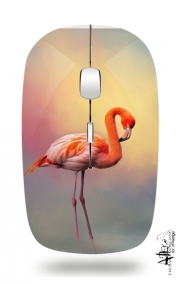 Souris sans fil avec récepteur usb American flamingo