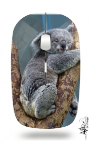 Souris sans fil avec récepteur usb Koala Bear Australia