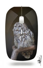 Souris sans fil avec récepteur usb Lovely cute owl