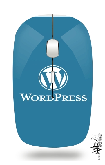 Souris sans fil avec récepteur usb Wordpress maintenance