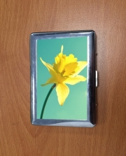 Porte Cigarette Daffodil