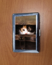 Porte Cigarette Little cute kitten in an old wooden case