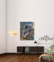 Poster Koala Bear Australia