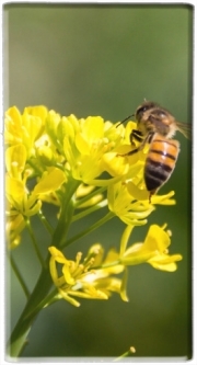 Batterie nomade de secours universelle 5000 mAh A bee in the yellow mustard flowers