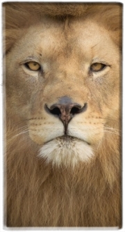 Batterie nomade de secours universelle 5000 mAh Africa Lion