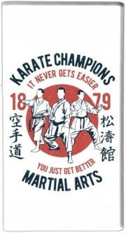 Batterie nomade de secours universelle 5000 mAh Karate Champions Martial Arts