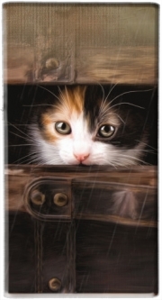 Batterie nomade de secours universelle 5000 mAh Little cute kitten in an old wooden case