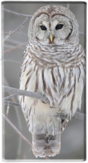 Batterie nomade de secours universelle 5000 mAh owl bird on a branch