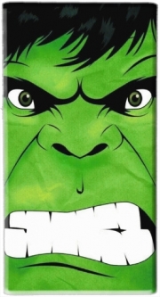 Batterie nomade de secours universelle 5000 mAh The Angry Green V3