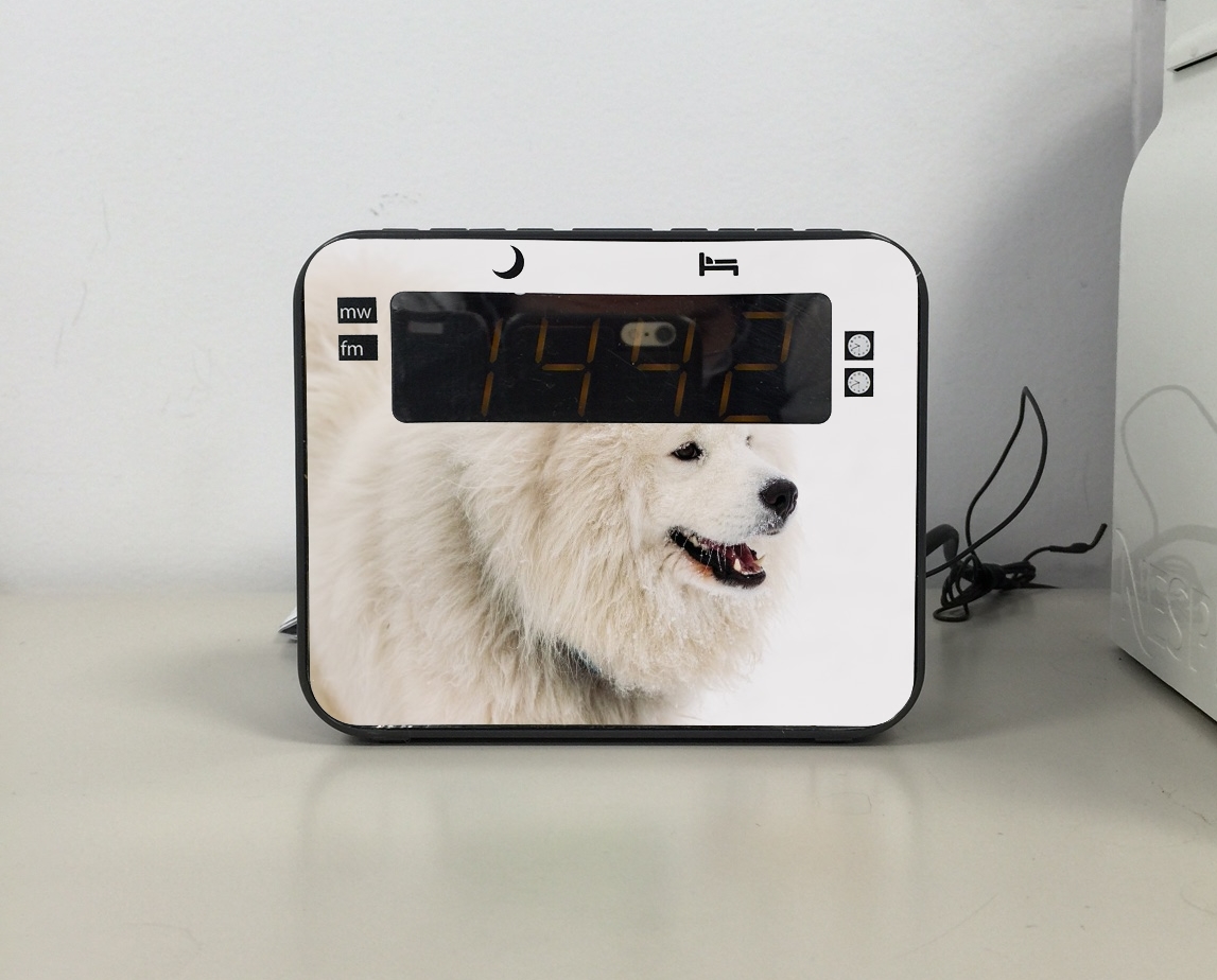 Radio réveil samoyede dog