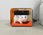 Radio réveil Hamster dalmatien blanc tacheté de noir