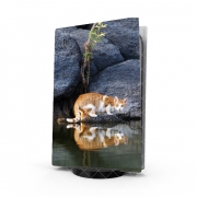 Autocollant Playstation 5 - Skin adhésif PS5  Reflet chat dans l'eau d'un étang 