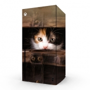 Autocollant Xbox Series X / S - Skin adhésif Xbox Little cute kitten in an old wooden case