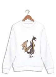 Sweatshirt Dragon Land 2