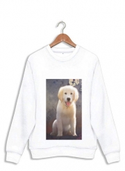 Sweatshirt Golden Retriever Puppy