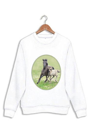 Sweatshirt Chevaux poneys poulain