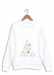 Sweatshirt Triangle - Native American
