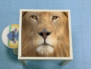 Table basse Africa Lion