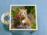 Table basse Bébé chaton mignon marbré rouge dans le jardin