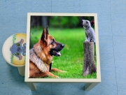 Table basse Berger allemand avec chat