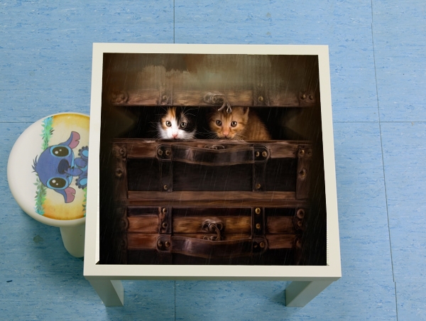 Table basse Little cute kitten in an old wooden case