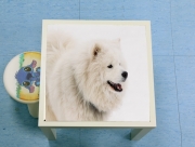 Table basse samoyede dog