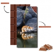 Tablette de chocolat personnalisé  Reflet chat dans l'eau d'un étang 
