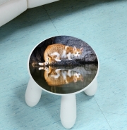 Tabouret enfant  Reflet chat dans l'eau d'un étang 