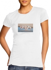 T-Shirt Manche courte cold rond femme bull terrier Dogs