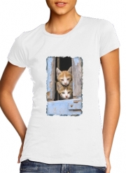 T-Shirt Manche courte cold rond femme Petits chatons mignons à la fenêtre ancienne