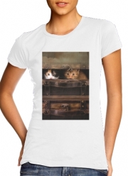 T-Shirt Manche courte cold rond femme Little cute kitten in an old wooden case