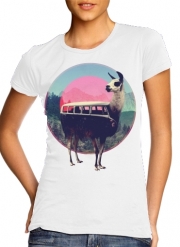 T-Shirt Manche courte cold rond femme Llama