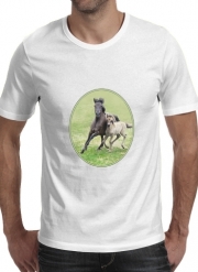 T-Shirt Manche courte cold rond Chevaux poneys poulain
