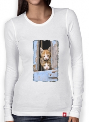 T-Shirt femme manche longue Petits chatons mignons à la fenêtre ancienne