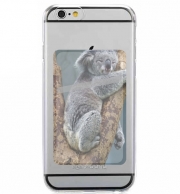 Porte Carte adhésif pour smartphone Koala Bear Australia