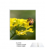 Classeur Rigide A bee in the yellow mustard flowers
