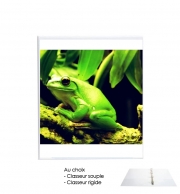 Classeur Rigide Green Frog