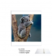 Classeur Rigide Koala Bear Australia