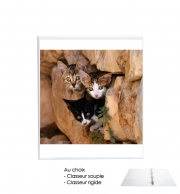 Classeur Rigide Trois petits chatons mignons dans un orifice d'un mur
