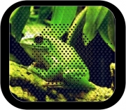 Enceinte bluetooth portable Green Frog