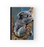 Cahier Koala Bear Australia